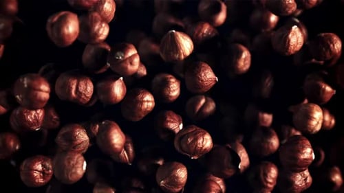 Hazelnuts Rise Up and Rotate in Flight