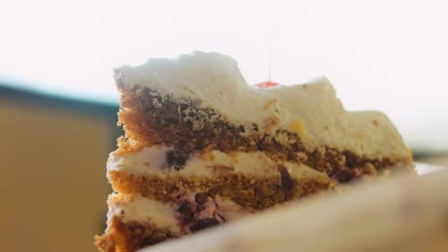 Close Up of Delicious Cake Slice