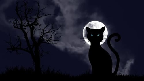 Black Cat with Blue Eyes Sitting Against Full Moon