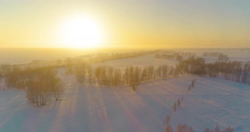 Aerial Drone View of Cold Winter Landscape with Arctic Field, Trees Covered with Frost Snow and