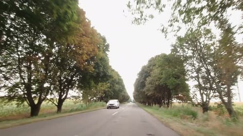 Country Road Sunny Day