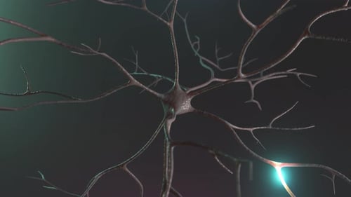 Neural Network Cell with Electrical Impulses Animation