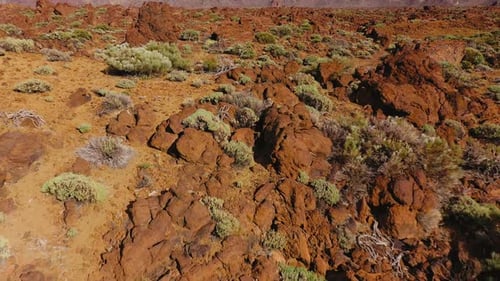 Luftaufnahme von erstarrter Lava und spärlicher Vegetation im Teide-Nationalpark