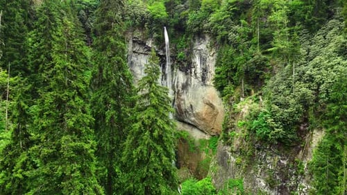 Waterfall in Mountain Green Forest