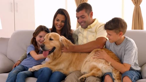 Happy Family Cuddling Dog on Sofa at Home