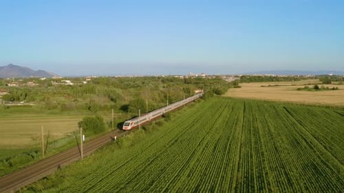 Hochgeschwindigkeitszug in der grünen Natur