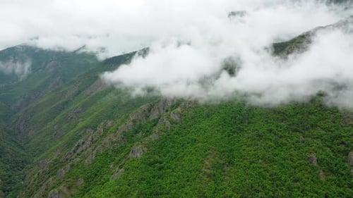 Clouds Over Beautiful Summer Mountains Green Forest Magical Natural Morning Fog Nature Landscape