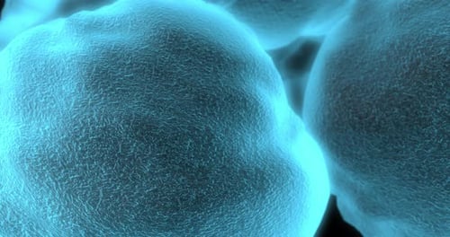 Abstract Microscopic Cells Animation Science Background