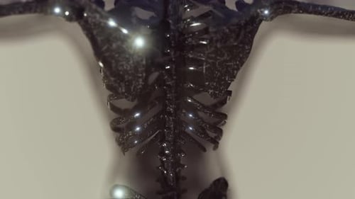 Futuristic Human Skeleton Animated with Glowing Nervous System