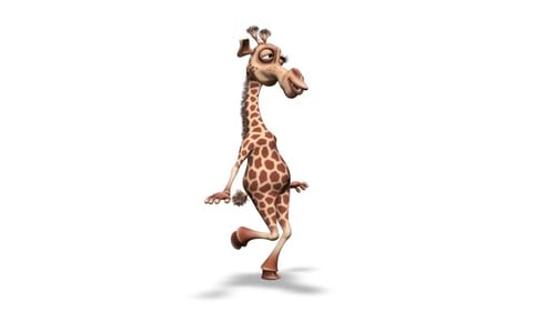 Cartoon 3D Giraffe Walk 2 Loops on White