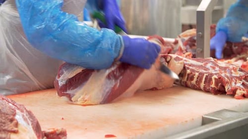 Person Trimming Meat in Food Production Facility