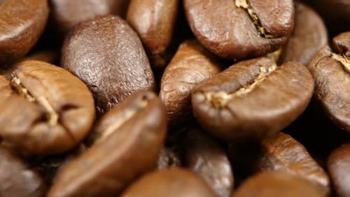 Coffee Beans in Rotate Perfectly on a Turntable. Close Up. Rotating