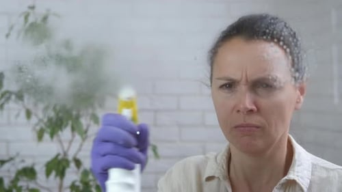Woman Sprays Cleaning Solution on Glass Close Up