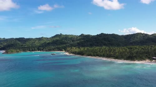 4k 30fps A Sunny Day In The Caribbean Beach With Palmstree And The Waves 7