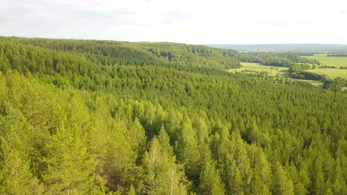 Natur