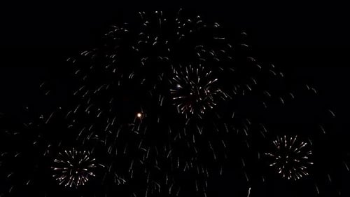 Colorful Fireworks Exploding in the Night Sky