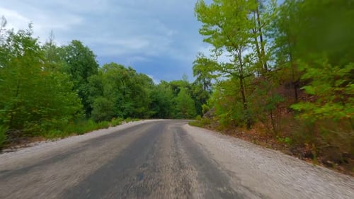 Autofahrt Forest