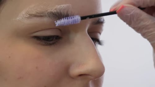 Young Woman Getting Eyebrows Tinted in a Salon