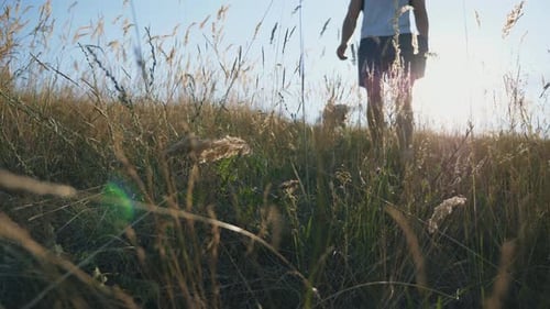 Man Walking With Dog in Sunny Meadow