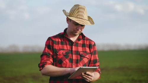 Farmer Uses Tablet in Green Field