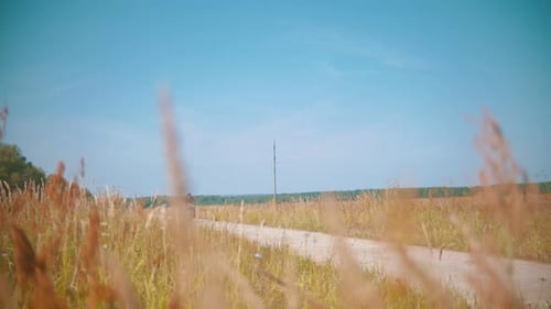 A Man Motorcyclist Riding Motorbike on the Dusty Country Road Above the Rye Field