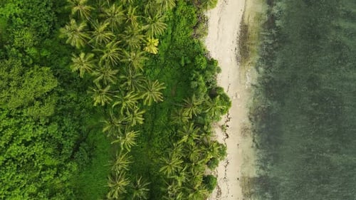 Aerial Beach Waves