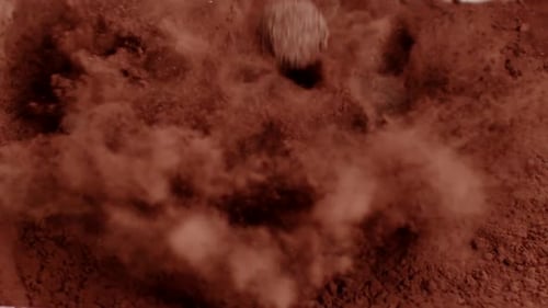 Handgemachte Trüffel mit Goldstaub verziert fallen in rohes Kakaopulver Slow Mo