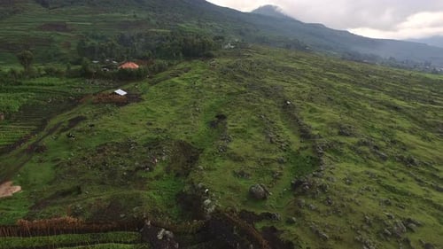 Aerial view of a rocky field