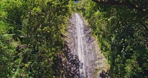 Cascada en la selva tropical 4K