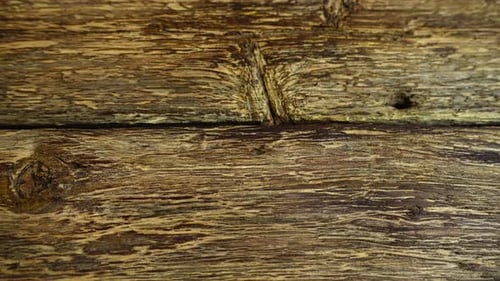 Macro View of Rustic Wood Background