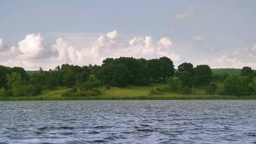 Rivière Forest