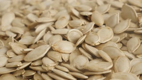 Raw seed of pumpkin close-up slow pan 4K footage
