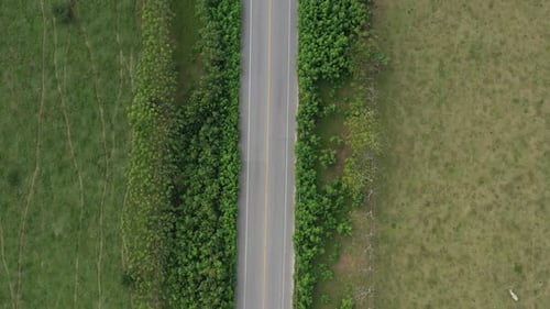 Asphalt Highway Through Green Tropical Field