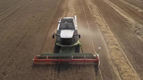 Combine Harvester in Action