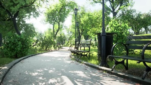 Animated Scenic Park Pathway with Sunlight and Trees