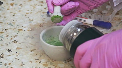 Molecular Biology