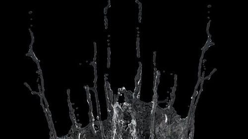 Crown Splash