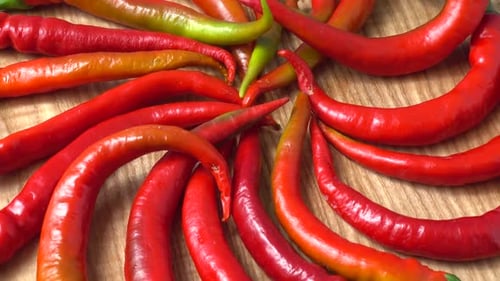 Roter Chilipfeffer