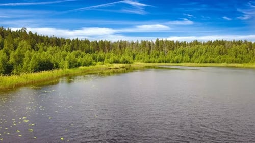 Forest Lake