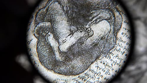 Anatomie, Kunstzeichnen