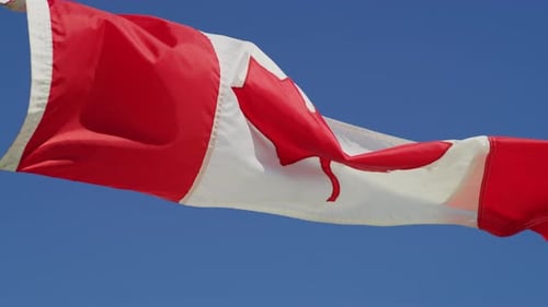 Canadian Flag Waving in Wind, Clear Blue Sky