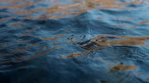 Closeup of a Lake Water Surface with Ripples and Waves