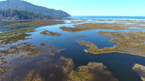 Aerial Swamp Wetland and Lake Next to Reed Delta by Sea