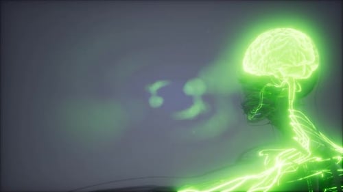 Glowing Brain and Nervous System Medical Technology Animation