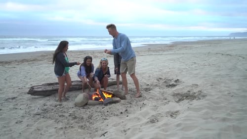 Group of friends at beach hanging out by campfire