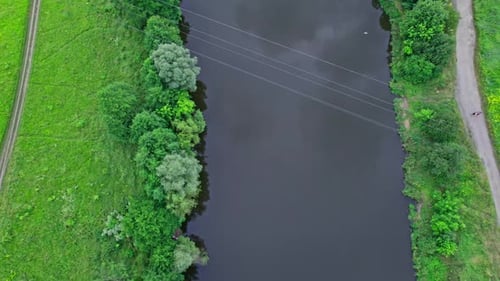 Luftaufnahme von grünem Wald und Fluss