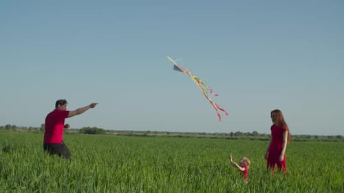 Family Flying Kite in Lush Green Field
