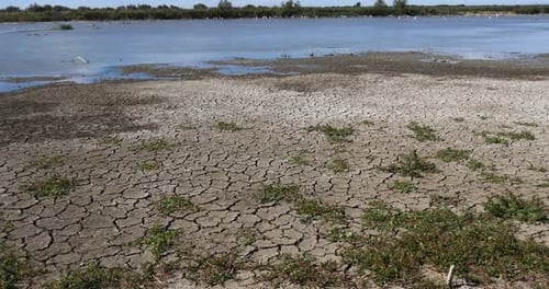 Eau et sécheresse dans les marais de Camargue, dans le sud-est de la France, en temps réel 4K