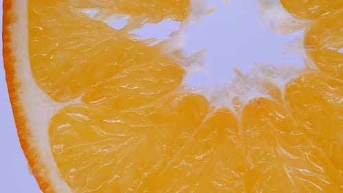 Orange on a White Background