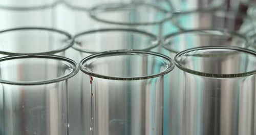 Test Tubes in the Lab